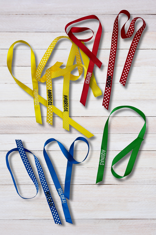 Elementary House Hair Ribbons