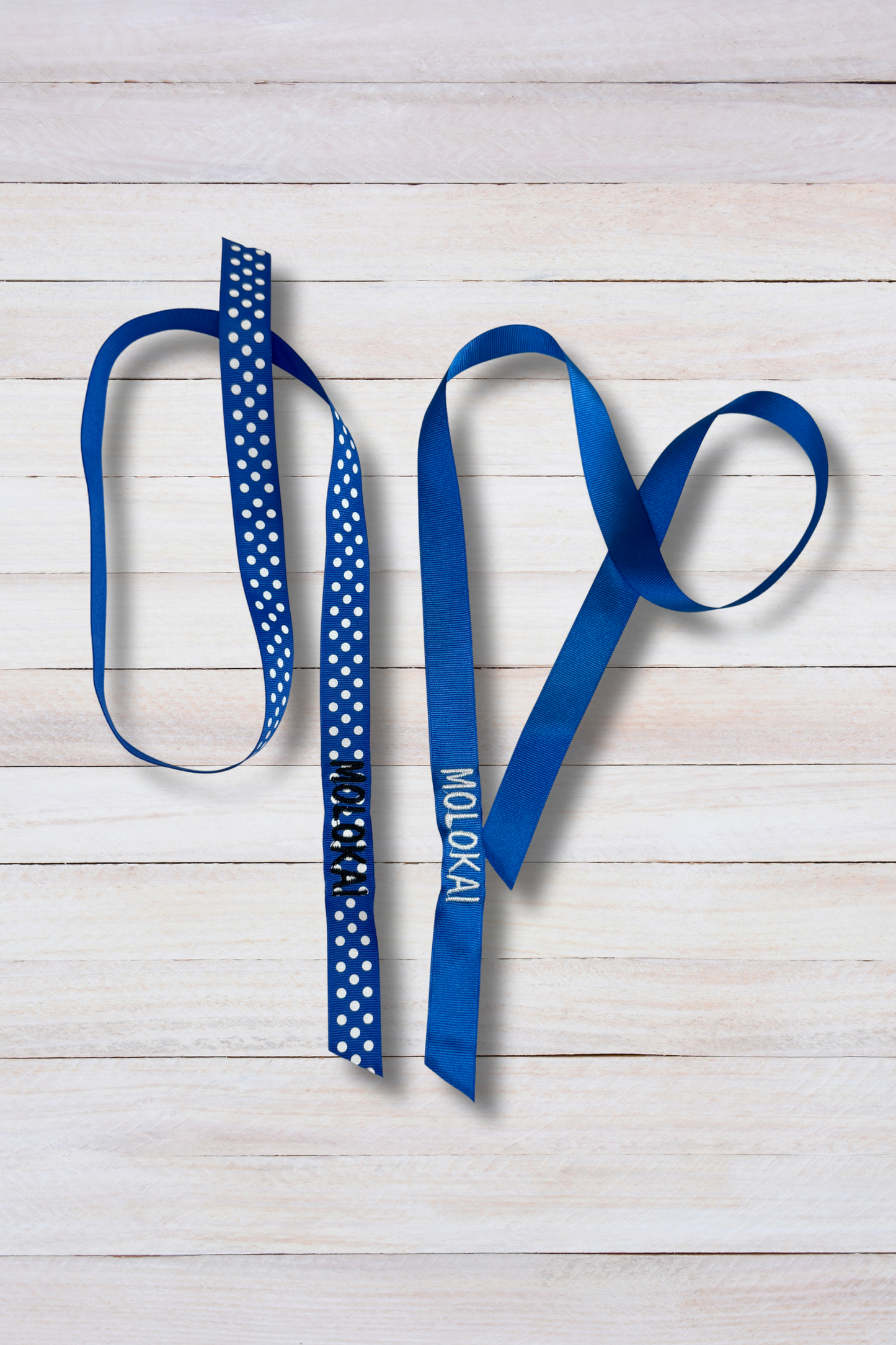 Elementary House Hair Ribbons